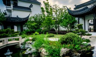 上海到乌镇和杭州应该先去哪里 上海到乌镇一日游